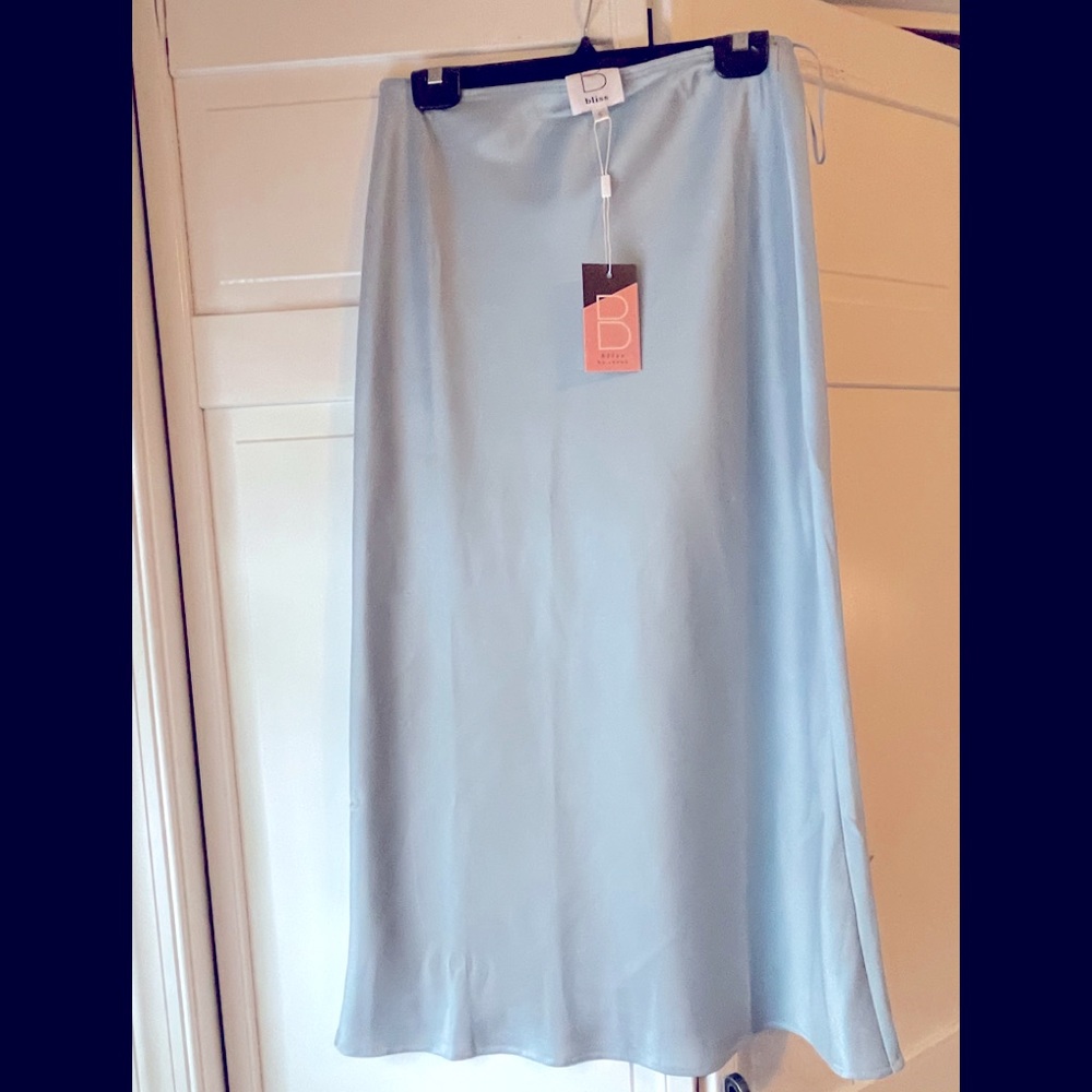 Silky midi slip skirt NWT!